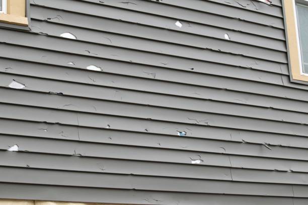 Best Steel Siding Installation  in Old Jefferson, LA